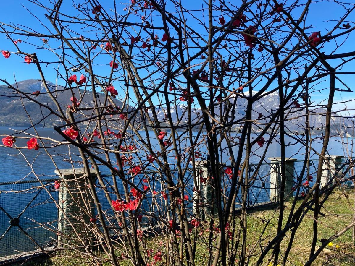La Casetta Βαρένα Εξωτερικό φωτογραφία