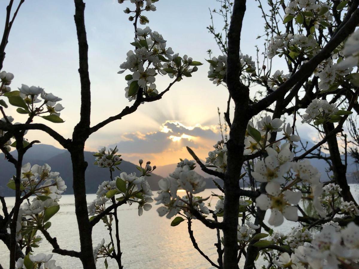 La Casetta Βαρένα Εξωτερικό φωτογραφία